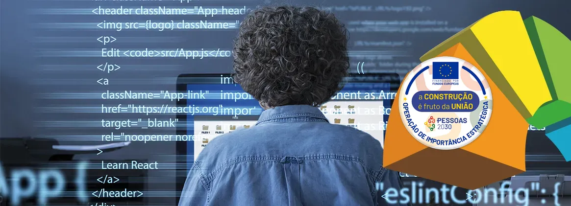 Programador de Informática